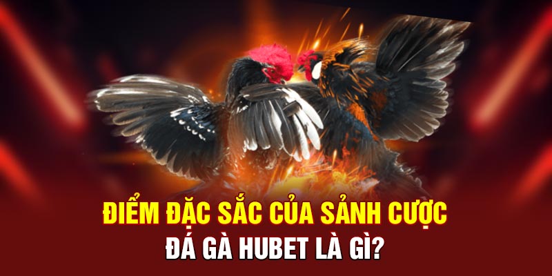 Điểm đặc sắc của sảnh cược đá gà HUBET là gì?