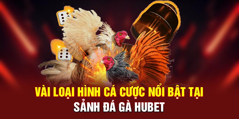 Vài loại hình cá cược nổi bật tại sảnh đá gà HUBET